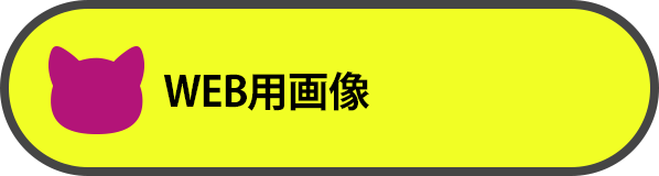 WEB用画像制作実績