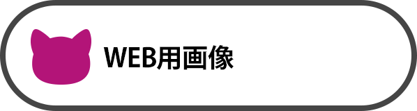 WEB用画像制作実績